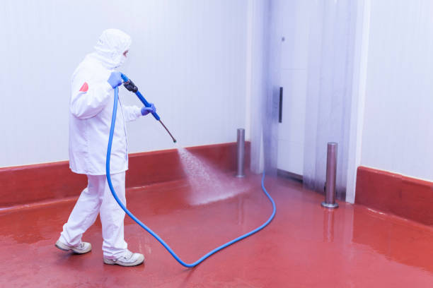 Best Parking Lot Cleaning in Wadsworth, IL
