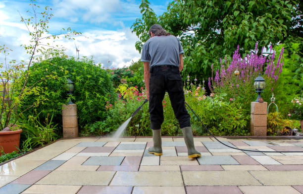 Best Residential Pressure Washing in Wadsworth, IL